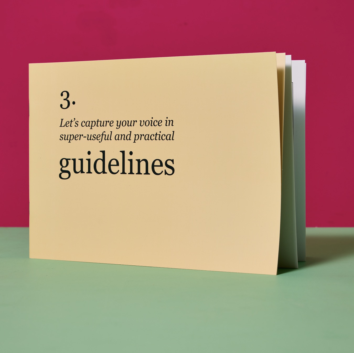 The guidelines book from Voicebox.