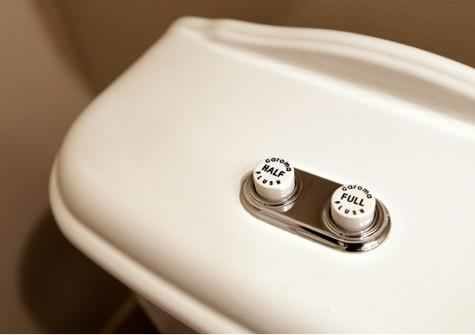 Photograph of toilet with buttons labelled “Half” and “Full”.